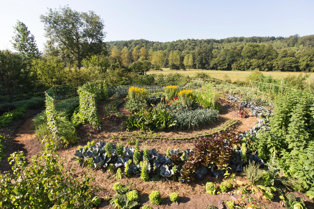 Bec_Jardin Mandala.jpg