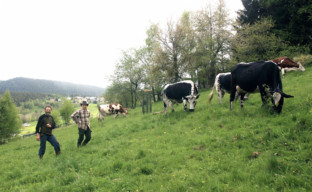 couv-ferme-du-brezouardweb.jpg