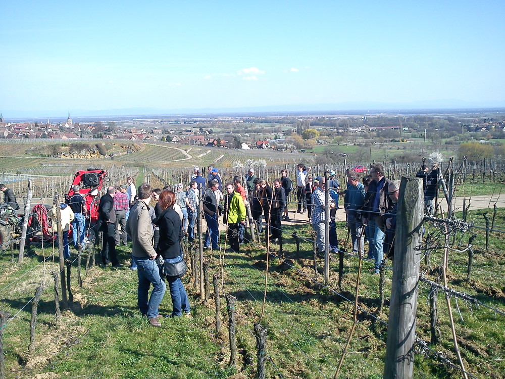 Journe?e ferme Rohrer Mittelbergheim.JPG