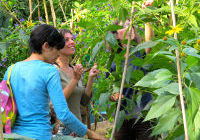 Atelier-au-jardin.jpg