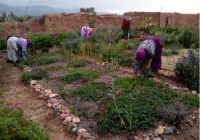 le-jardin-france-maroc-a-0.png