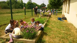 Chemin de la Biodiversite?-Carre?s potagers Ecole.jpg