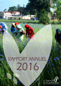 Rapport annuel 2016