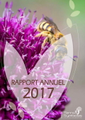 Rapport annuel 2017