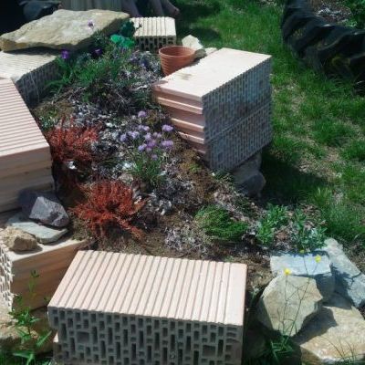 Une spirale jardinée, délimitée par des briques, sur lesquelles viennent se dorer les lézards