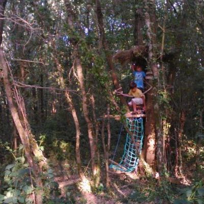 Construction de cabanes dans les bois