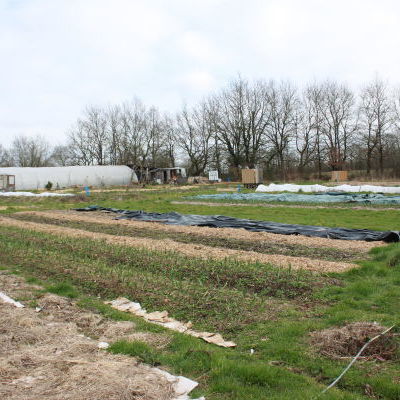 Jardin Maraîcher © Manon Canovas