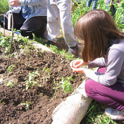 Le jardin Gilibert