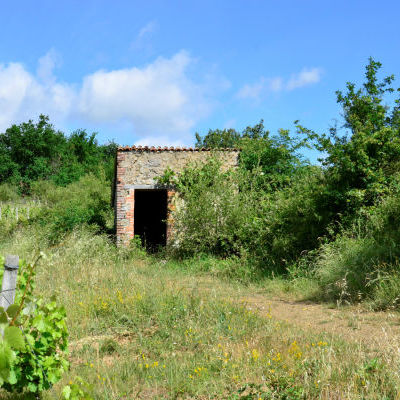 Loge de vigne © Benoit Marchadour