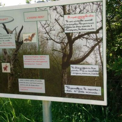 Un panneau du sentier pédagogique réalisé par les élèves