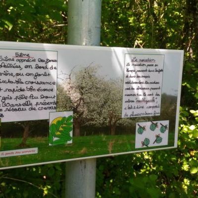 Un panneau du sentier pédagogique réalisé par les élèves