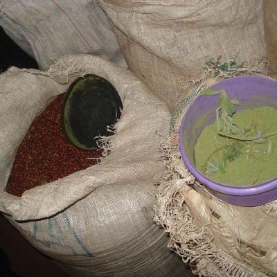 Poudre de tephrosia vogelii : conservation des semences