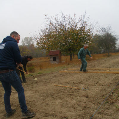 Semis de céréales d