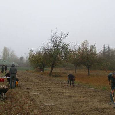 Semis de céréales d