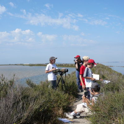 Sortie laisses et biodiversite?_CPIE Bassin de Thau.JPG