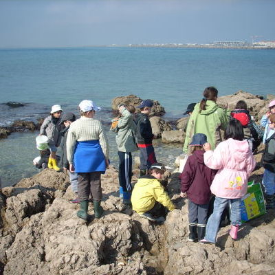 Sortie littoral laisses de mer_CPIE Bassin de Thau.JPG