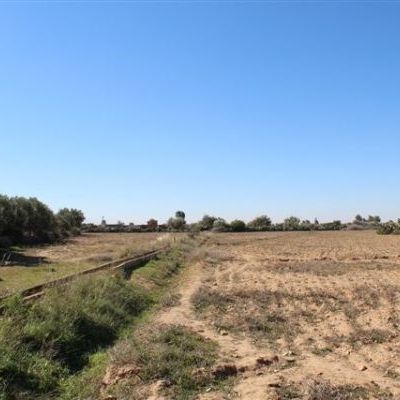 Le terrain du jardin