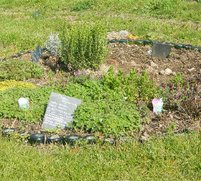 Un bout du jardin pe?dagogique a? Montoir de bretagne.jpg