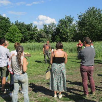 Rencontre professionnelle céréales anciennes à la ferme Moyses le 16 juin 2019